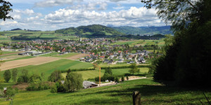Beitragsbild des Blogbeitrags Impuls-Wanderung auf dem Keltenbaumweg