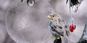 Beitragsbild des Blogbeitrags 2021 die Top 12 im Dezember