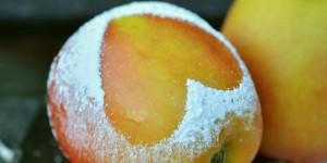 Beitragsbild des Blogbeitrags Zeit zum Wohnen