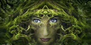 Beitragsbild des Blogbeitrags Aktivierung der Zirbeldrüse | naturalsmedizin.com