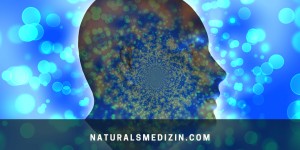 Beitragsbild des Blogbeitrags Hypothalamus aktivieren