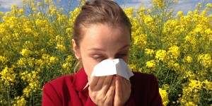 Beitragsbild des Blogbeitrags Akuter Heuschnupfen: Diese Hausmittel helfen bei Pollenallergie 