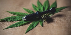 Beitragsbild des Blogbeitrags Cannabidiol (CBD) – Wirkung und Anwendungsgebiete 