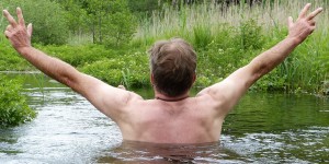 Beitragsbild des Blogbeitrags Heilkräuter, die das Immunsystem stimulieren