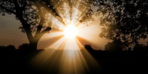 Beitragsbild des Blogbeitrags Warum Vitamin D so wichtig ist für unsere Gesundheit