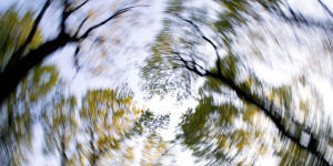 Beitragsbild des Blogbeitrags Schwindel (Vertigo) – was du selbst tun kannst