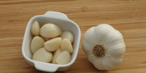 Beitragsbild des Blogbeitrags Pflanzliche Antibiotika und Virostatika