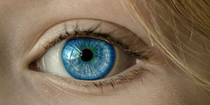 Beitragsbild des Blogbeitrags Gesunde Augen – Nährstoffe, Vitamine und mehr für die Augen 