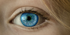 Beitragsbild des Blogbeitrags Gesunde Augen – Nährstoffe, Vitamine und mehr für die Augen