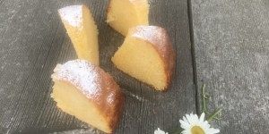 Beitragsbild des Blogbeitrags Topfengugelhupf 