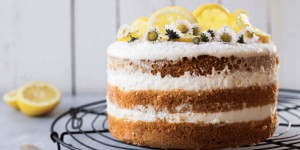 Beitragsbild des Blogbeitrags Fruchtige Kokostorte 