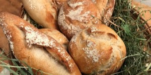 Beitragsbild des Blogbeitrags Vollkornbrot mit Sauerteig ohne Germ 