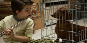 Beitragsbild des Blogbeitrags Filmkritik: Wiener Dog