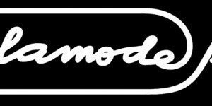 Beitragsbild des Blogbeitrags Neuer Shop: Alamodefilm Shop 