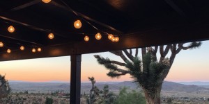 Beitragsbild des Blogbeitrags JOSHUA TREE INTERIOR DREAMS