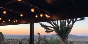 Beitragsbild des Blogbeitrags JOSHUA TREE INTERIOR DREAMS 