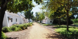 Beitragsbild des Blogbeitrags SOUTH AFRICA: BABYLONSTOREN