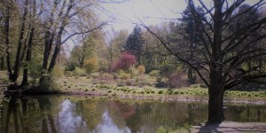 Beitragsbild des Blogbeitrags An jedem Tag neugeboren