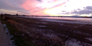 Beitragsbild des Blogbeitrags Stadt, Land? Fluss eher nicht.