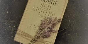 Beitragsbild des Blogbeitrags BUCHTIPP: „SÜDLICHTER“ NINA GEORGE