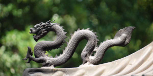 Beitragsbild des Blogbeitrags Drache vermisst!