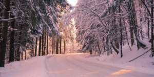 Beitragsbild des Blogbeitrags Das etwas andere Weihnachtslied