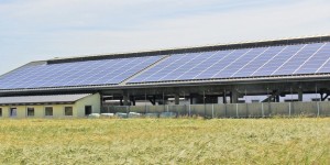 Beitragsbild des Blogbeitrags Photovoltaik-Bürgerbeteiligung 