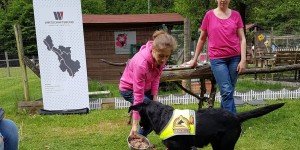 Beitragsbild des Blogbeitrags Familienfreundlliche Betriebsbesichtung