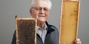 Beitragsbild des Blogbeitrags Heinrich Liepold – Der Bienenkönig