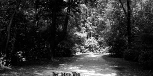 Beitragsbild des Blogbeitrags Klagemauer, Kondulenzbuch, oder doch noch „The Book of Wolf“?