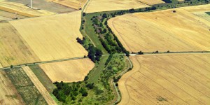 Beitragsbild des Blogbeitrags :: Vom Eisernen Vorhang zum Grünen Band 