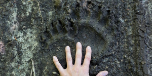 Beitragsbild des Blogbeitrags :: Harte Fronten – Umweltkommunikation im Naturschutz
