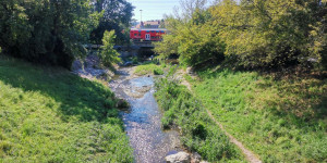 Beitragsbild des Blogbeitrags ::Österreichs Fließgewässer – geprägt von Regulierung und Renaturierung: Die Liesing als Vorbild