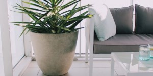 Beitragsbild des Blogbeitrags #saanshinterior: Wie mein kleiner Balkon zum Lieblingsplatz wurde