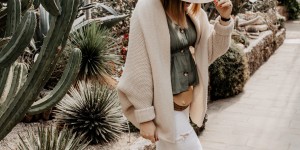 Beitragsbild des Blogbeitrags Cacti Paradise