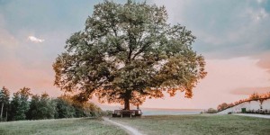 Beitragsbild des Blogbeitrags Personal: Auf’s Bauchgefühl hören