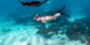 Beitragsbild des Blogbeitrags Komodo Islands Boat Trip Guide 