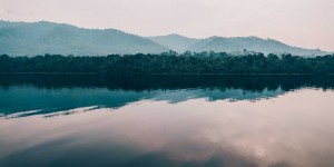 Beitragsbild des Blogbeitrags Westküste Tasmanien Highlight: Strahan Village & Gordon River Cruise