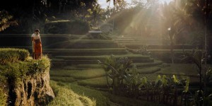 Beitragsbild des Blogbeitrags Bali Guide: 3 Wochen in Bali 