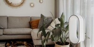 Beitragsbild des Blogbeitrags Tipp bei Pollenallergie: Luftreiniger für Zuhause
