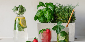 Beitragsbild des Blogbeitrags Favorite Summer Drinks & Cocktails mit Kräutern 