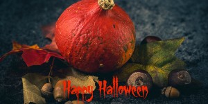 Beitragsbild des Blogbeitrags Halloween Rezepte/ Halloween recipes