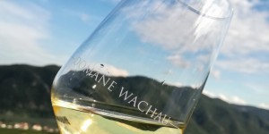 Beitragsbild des Blogbeitrags Domäne Wachau