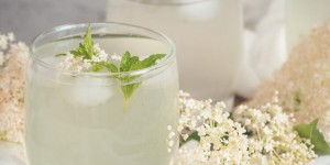 Beitragsbild des Blogbeitrags Holunderblütensaft