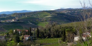 Beitragsbild des Blogbeitrags Collio – Eine Weinbauregion, wie ein bunter Hund. 