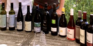 Beitragsbild des Blogbeitrags Üben für die Jungsommelierprüfung.