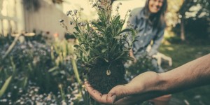 Beitragsbild des Blogbeitrags A1 Smart Home und Gardena verschönern deinen Garten 