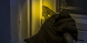 Beitragsbild des Blogbeitrags Interview: Einbruch im Ferienhaus