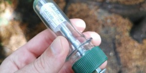 Beitragsbild des Blogbeitrags Sommer-Action mit Spaßfaktor: So funktioniert Geocaching