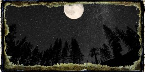 Beitragsbild des Blogbeitrags Astrophobie